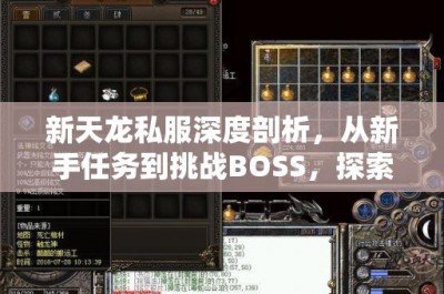 新天龙私服深度剖析，从新手任务到挑战BOSS，探索武侠世界的无限可能