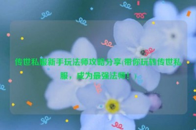 传世私服新手玩法师攻略分享(带你玩转传世私服，成为最强法师！)