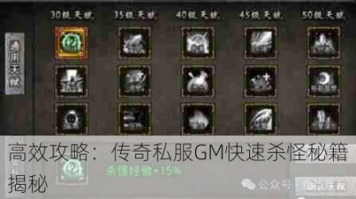 高效攻略：传奇私服GM快速杀怪秘籍揭秘