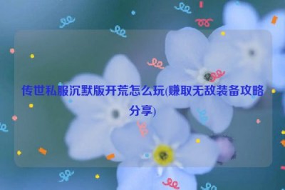 传世私服沉默版开荒怎么玩(赚取无敌装备攻略分享)