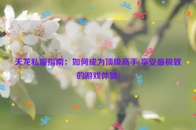 天龙私服指南：如何成为顶级高手(享受最极致的游戏体验)