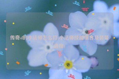 传奇sf的小法师怎么打(小法师技能组合及装备选择)