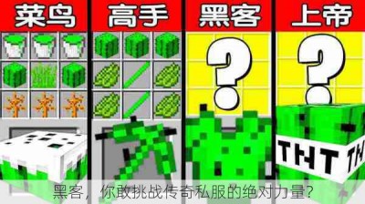 黑客，你敢挑战传奇私服的绝对力量？