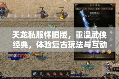 天龙私服怀旧版，重温武侠经典，体验复古玩法与互动教程