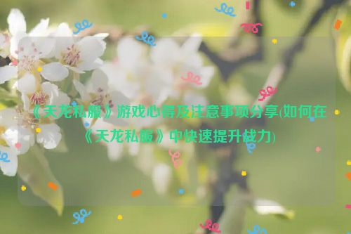 《天龙私服》游戏心得及注意事项分享(如何在《天龙私服》中快速提升战力)