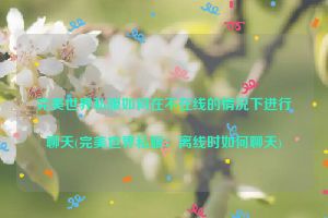 完美世界私服如何在不在线的情况下进行聊天(完美世界私服：离线时如何聊天)