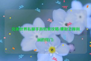 完美世界私服手游转卖攻略(赚取丰厚利润的窍门)