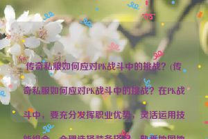 传奇私服如何应对PK战斗中的挑战？(传奇私服如何应对PK战斗中的挑战？在PK战斗中，要充分发挥职业优势，灵活运用技能组合，合理选择装备搭配，熟悉地图地形利用环境，提高反应速度和操作技巧。此外，合理利用药品及时补充血量和法力，与队友配合作战，保持团结，才能在激烈的PK战斗中取得胜利。PK战斗中的关键技能与装备选择)