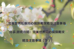 完美世界私服同心镜佩戴攻略及注意事项分享(游戏攻略：完美世界同心镜佩戴攻略及注意事项（下）)