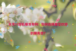 天龙八部私服发布网：如何选择最受欢迎的服务器？