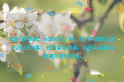 传奇sf法师版：玩转屠龙之道，技巧与策略分享(传奇sf法师版：玩转屠龙之道，技巧与策略分享提升游戏体验)