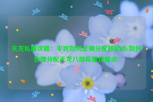 天龙私服攻略：平民如何正确分配技能点(如何合理分配天龙八部私服技能点)