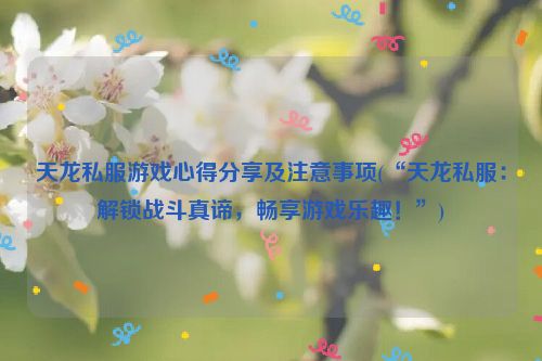 天龙私服游戏心得分享及注意事项(“天龙私服：解锁战斗真谛，畅享游戏乐趣！”)