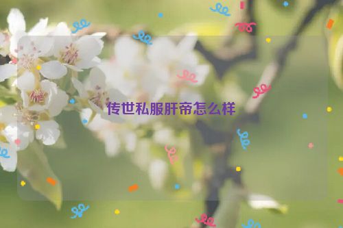 传世私服肝帝怎么样