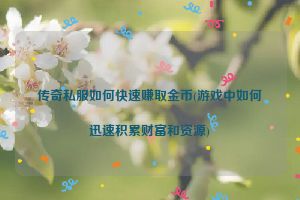 传奇私服如何快速赚取金币(游戏中如何迅速积累财富和资源)