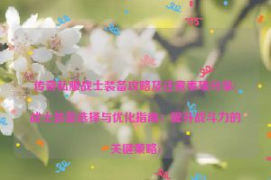 传奇私服战士装备攻略及注意事项分享(战士装备选择与优化指南：提升战斗力的关键策略)