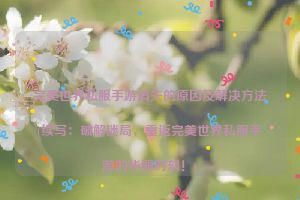 完美世界私服手游消失的原因及解决方法(续写：破解迷局，重返完美世界私服手游的华丽时刻！)