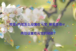 传奇sf内挂怎么设置吃元宝_解密传奇SF_内挂设置吃元宝的秘密？