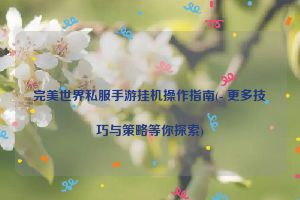 完美世界私服手游挂机操作指南(- 更多技巧与策略等你探索)