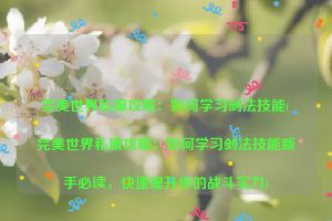 完美世界私服攻略：如何学习剑法技能(完美世界私服攻略：如何学习剑法技能新手必读，快速提升你的战斗实力)