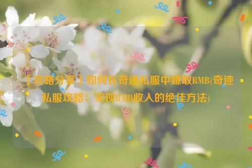 【攻略分享】如何在奇迹私服中赚取RMB(奇迹私服攻略：实现RMB收入的绝佳方法)