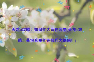 天龙sf攻略：如何扩大背包容量(天龙sf攻略：背包容量扩充技巧大揭秘！)