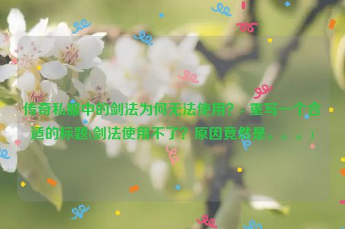 传奇私服中的剑法为何无法使用？- 重写一个合适的标题(剑法使用不了？原因竟然是。。。)