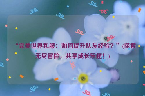 “完美世界私服：如何提升队友经验？”(探索无尽冒险，共享成长乐趣！)