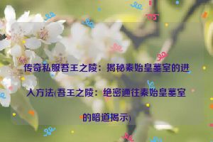 传奇私服吾王之陵：揭秘秦始皇墓室的进入方法(吾王之陵：绝密通往秦始皇墓室的暗道揭示)