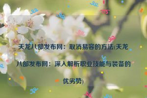 天龙八部发布网：取消易容的方法(天龙八部发布网：深入解析职业技能与装备的优劣势)