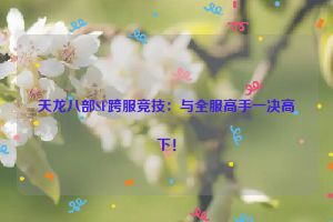 天龙八部SF跨服竞技：与全服高手一决高下！