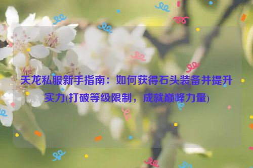 天龙私服新手指南：如何获得石头装备并提升实力(打破等级限制，成就巅峰力量)