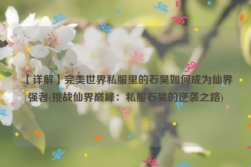 【详解】完美世界私服里的石昊如何成为仙界强者(挑战仙界巅峰：私服石昊的逆袭之路)